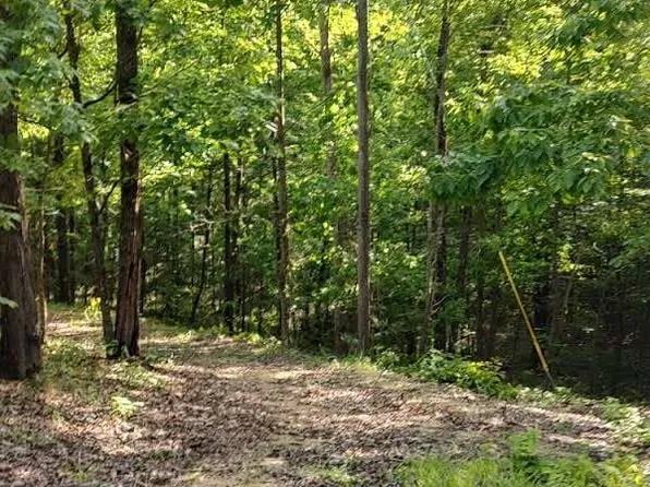 0 T Johnson Rd NE, Ranger, GA 30734