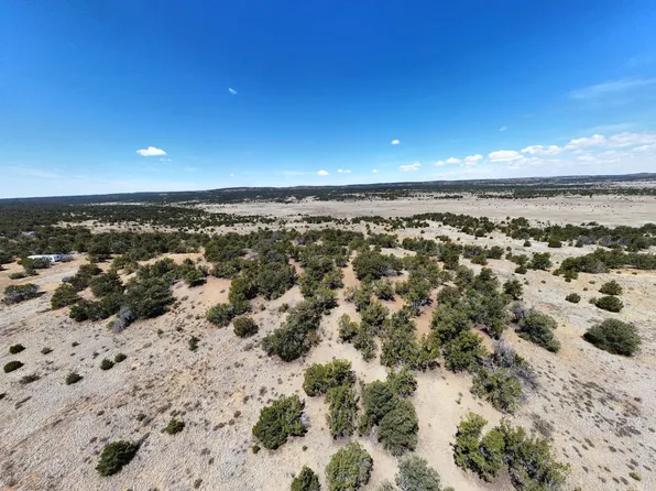 377 Five Gate Rd, Pinehill, NM 87357