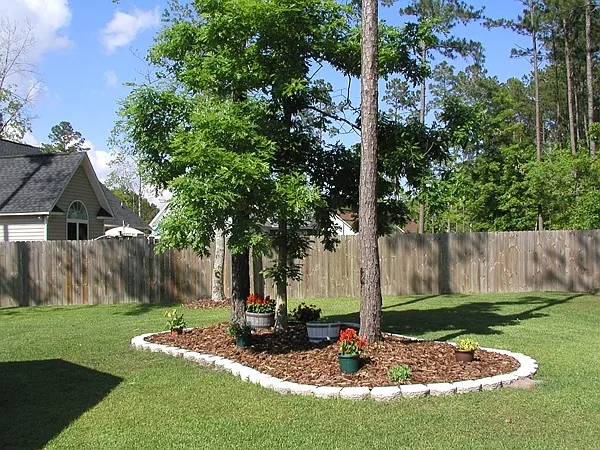 204 War Admiral Dr — Photo 5