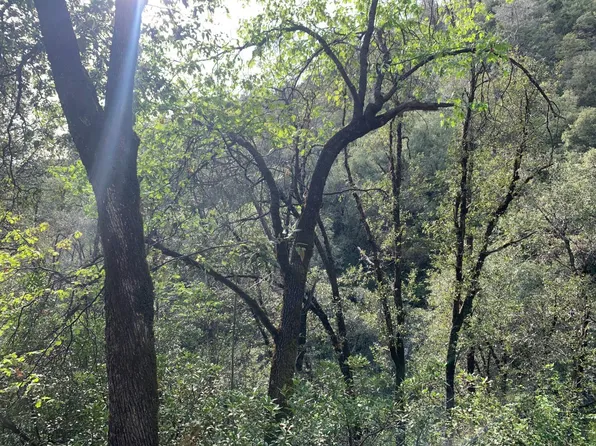 1885 Pennsylvania Gulch Rd, Murphys, CA 95247