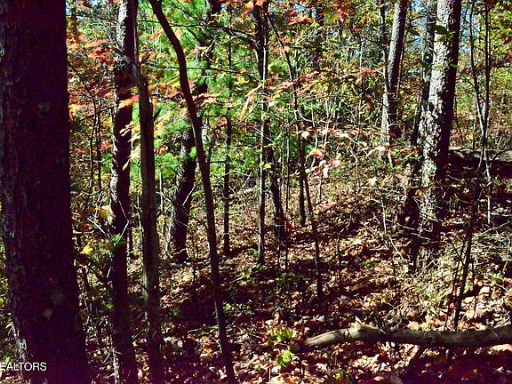 5th image of LOT-28R Mountain Retreat Rd Lot 28R