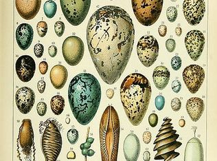 644 Brandon Ct, Lexington, SC 29072