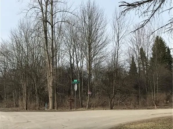 34 Ridge Trl, Glenwood, NY 14069