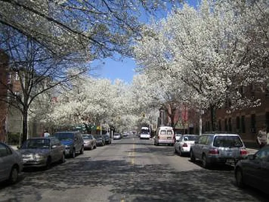 Sold by Corcoran | media 21