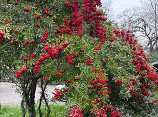 3647 Walnut St #3647, Lafayette, CA 94549