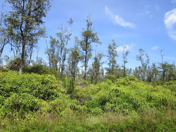 35th Ave Lot 45, Kurtistown, HI 96760