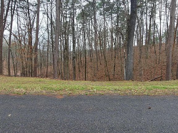 4th image of 337 Arlington Dr