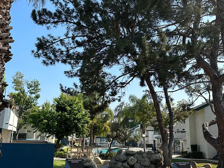 Pebblebrook — Photo 11