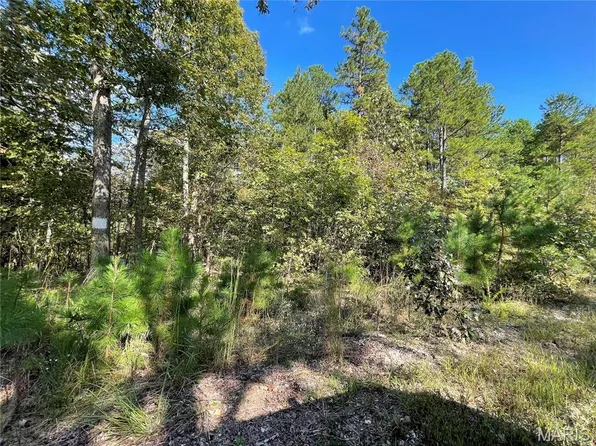 4 Woodland Dr, Poplar Bluff, MO 63901