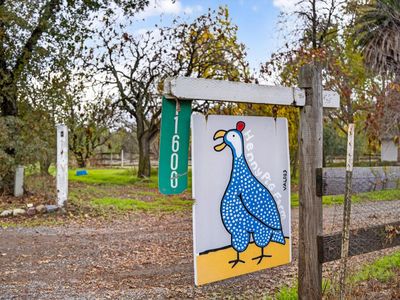 11600 State Highway 16, Brooks, CA, 95606