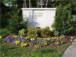 3rd image of 213 Hillsboro Pl