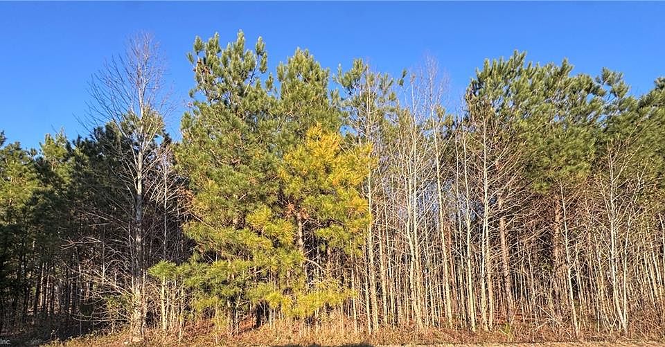 2nd image of 3 Carsley Rd