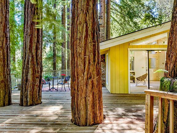 4th image of 146 Cypress Tree Ln