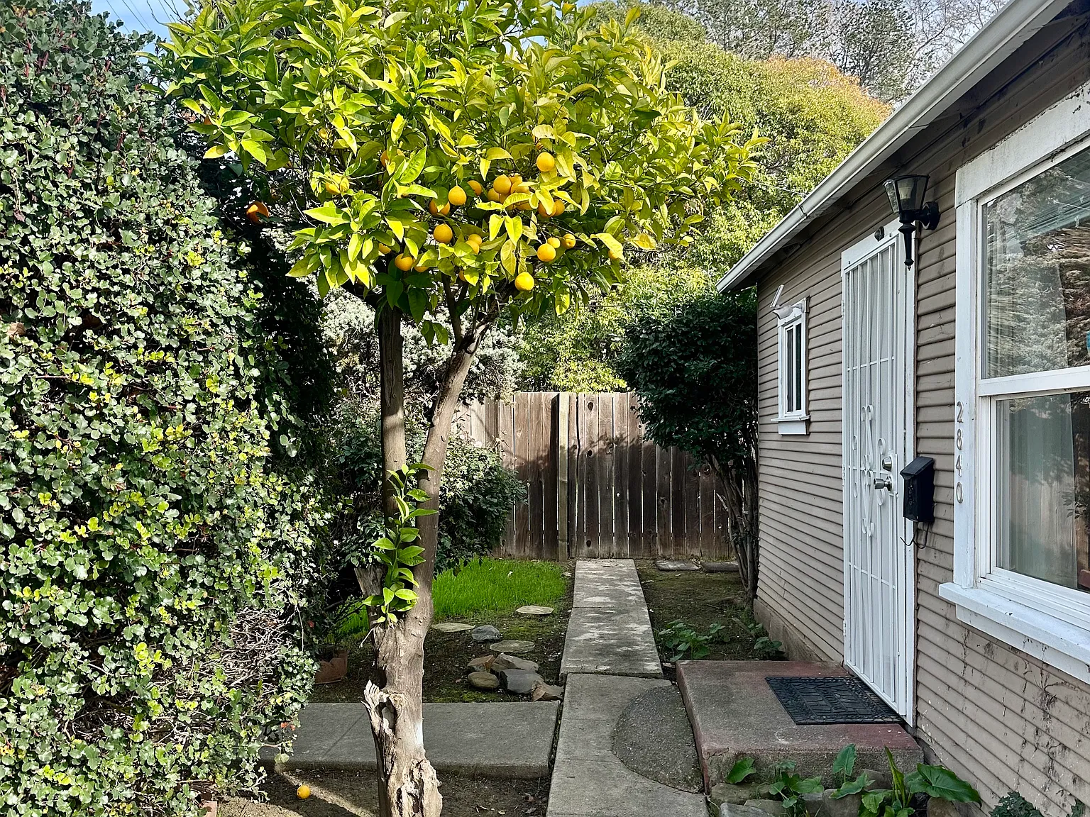 Salvio St, Concord — Photo 2