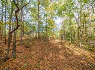 Undefined Scott Rd, Ellerslie, GA 31807