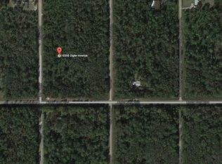 10350 Zigler Ave, Hastings, FL 32145