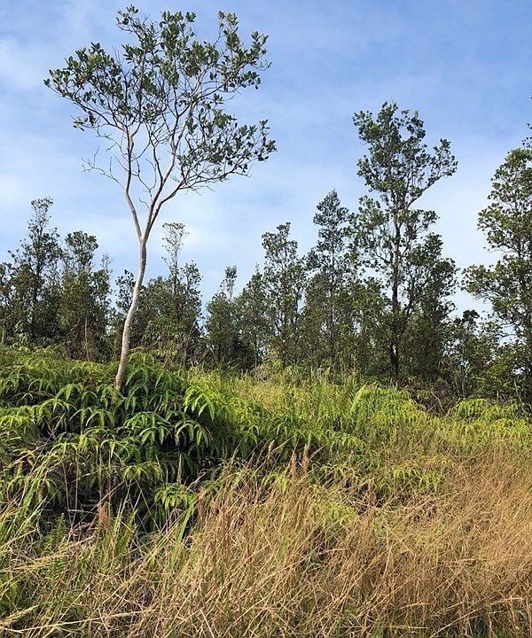 2nd image of Malia Aina Rd Lot 40