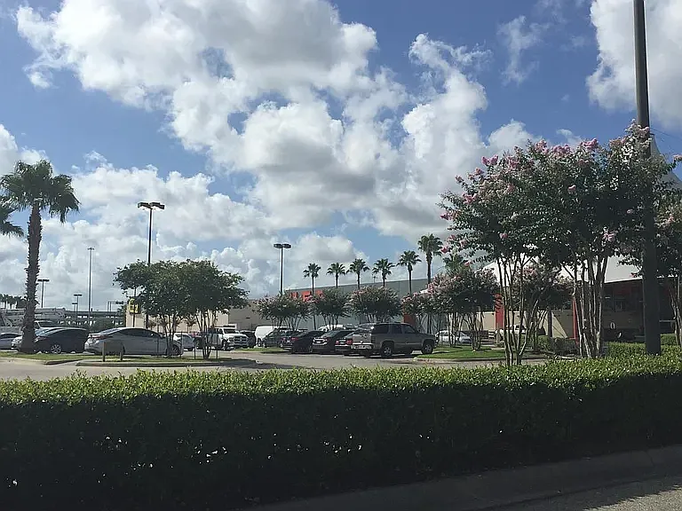 7313 Gulf Fwy #0 — Photo 17