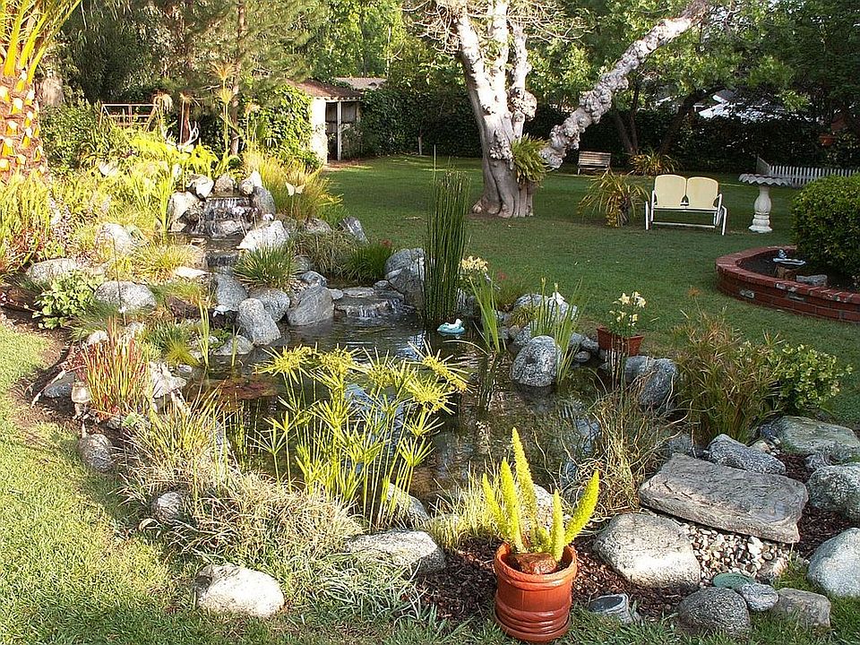 Back Yard Pond