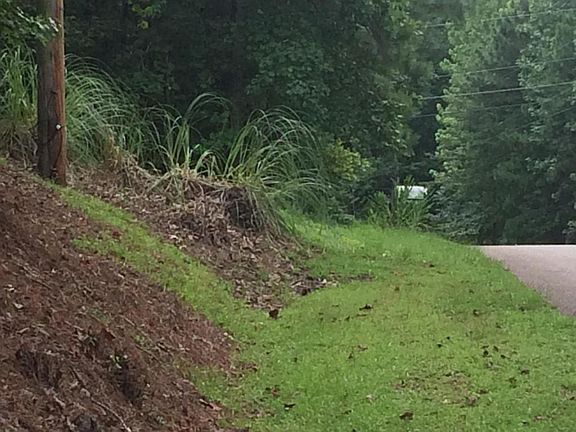 4th image of Lot 31 Palmer