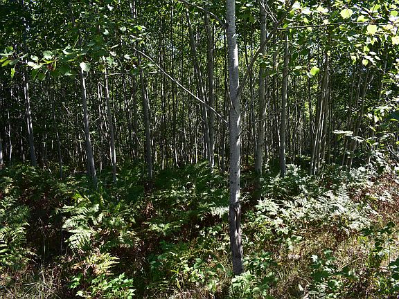 4th image of 14511 County Road 628