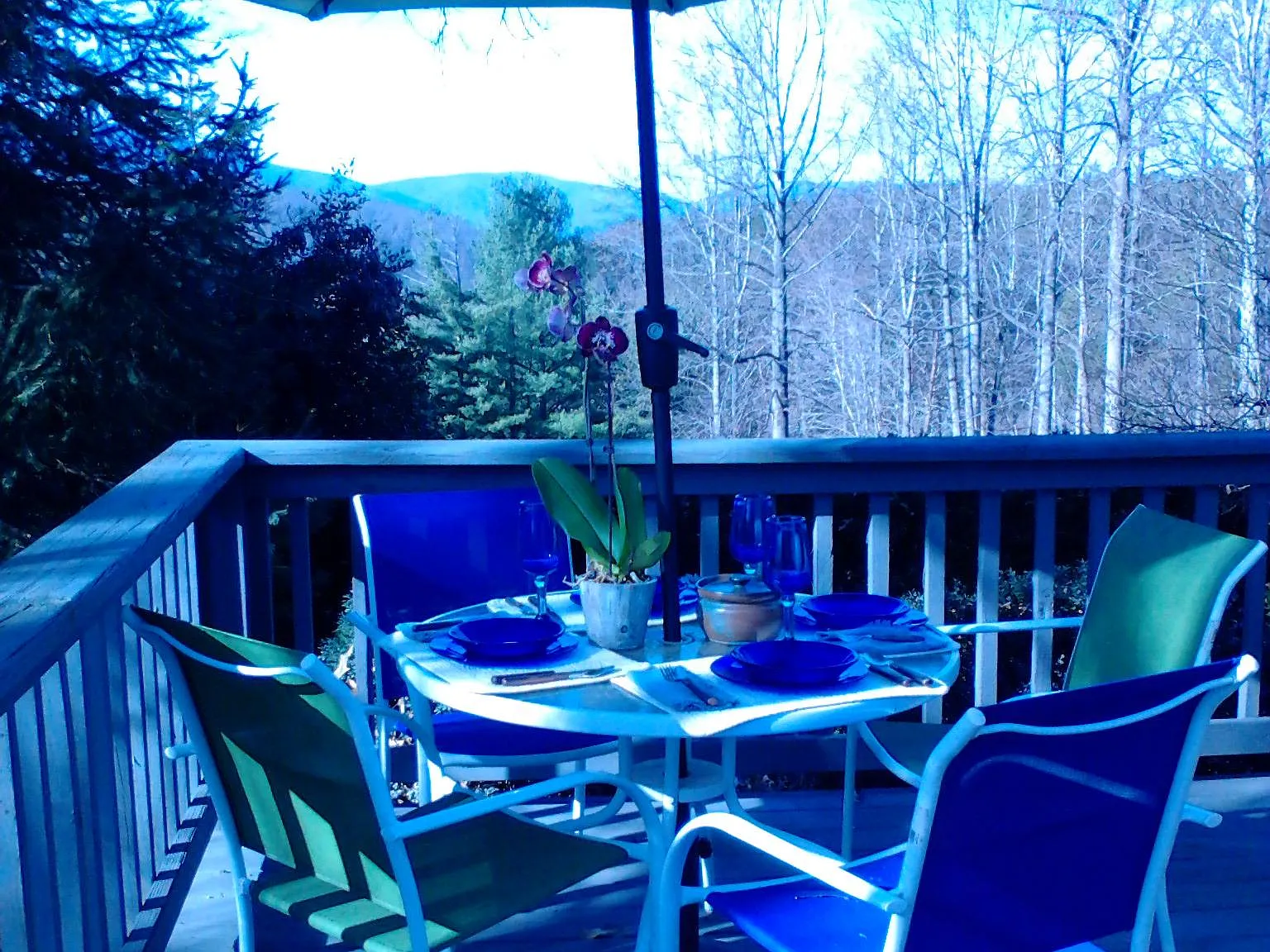 Taylor Creek Rd, Afton — Photo 3