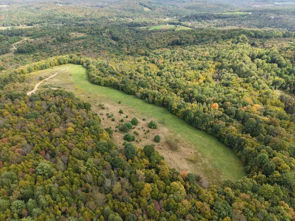 0 Lee Hollow Rd Lot Wp-1, Mahaffey, PA 15757