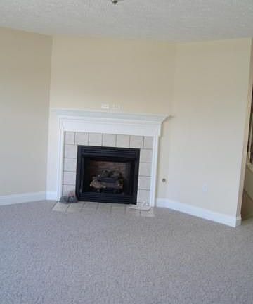 Gas Fireplace