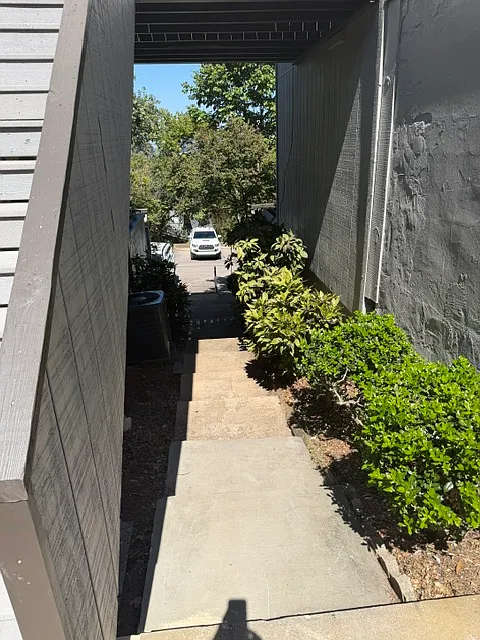 3350 Altamont Rd — Photo 2