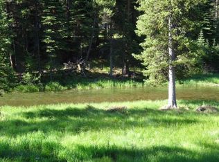 109 Holland Creek Rd, Condon, MT 59826