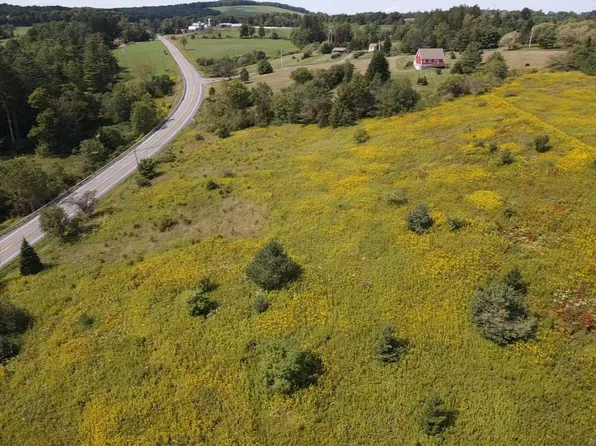 LOT 63 State Highway 28, Delhi, NY 13753