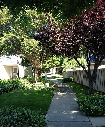 2nd image of 4818 Vesca Way