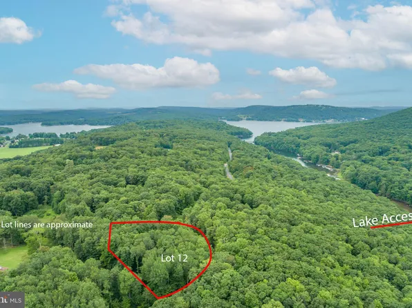 12 Michelle Dr, Swanton, MD 21561