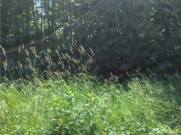 Lot 1 361st Street, Stanley, WI 54768
