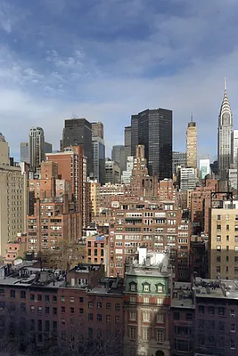 Rented by Manhattan Skyline | media 19