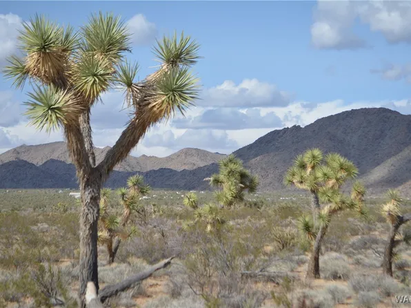 Suzette Rd, Yucca, AZ 86438