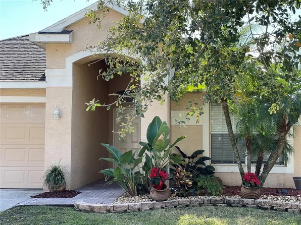 11433 Cypress Reserve Dr, Tampa, FL 33626