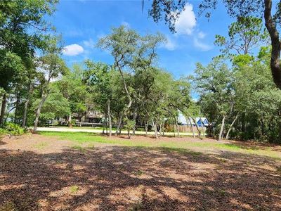 151 Violet Cir #11, Interlachen, FL, 32148