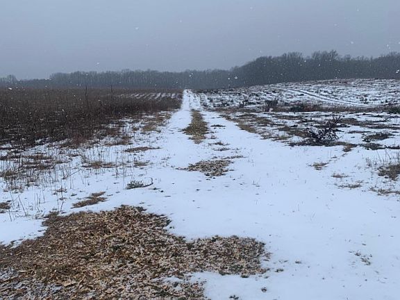 4th image of 0 County Road 653