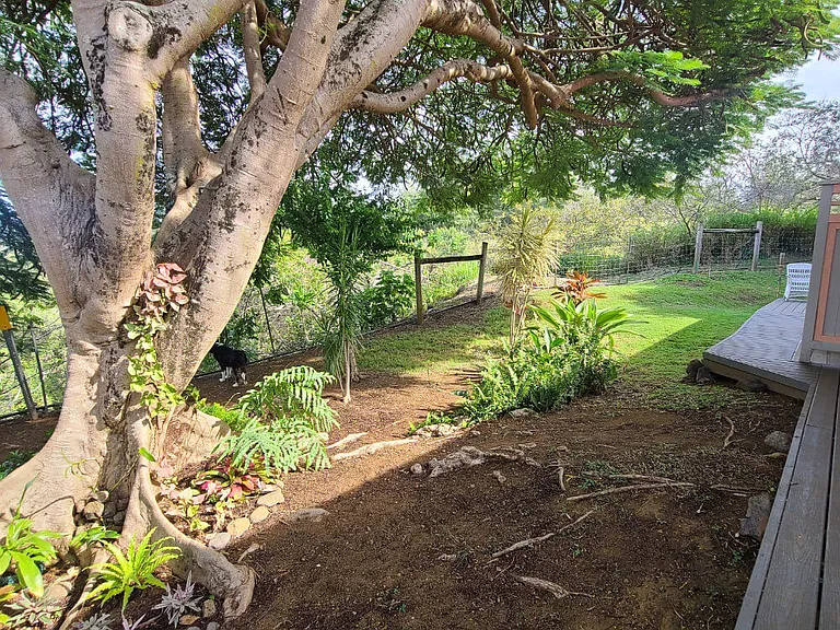 Kahawai Rd — Photo 8