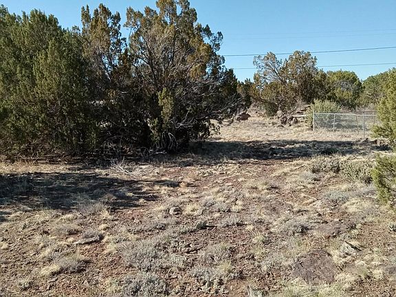 2nd image of 8579 Jackrabbit Dr