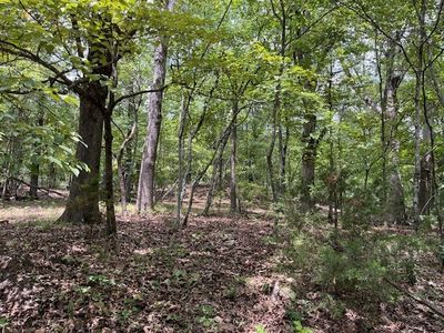 Trestle St, Winslow, AR, 72959