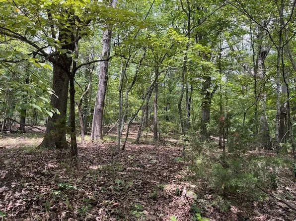 Trestle St, Winslow, AR 72959