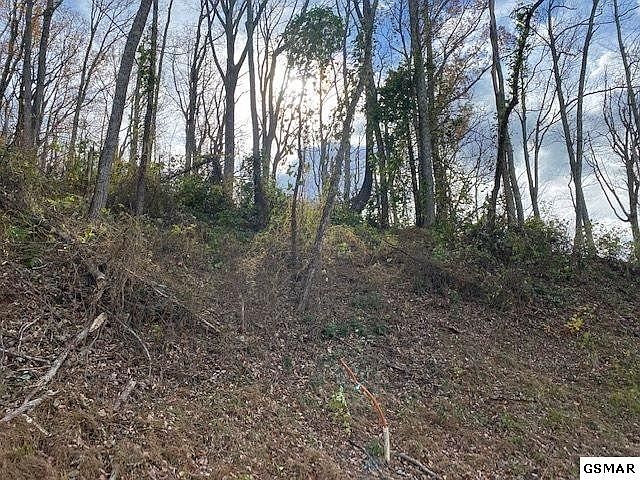 1st image of 38 Stone Fence Ln Lot 38