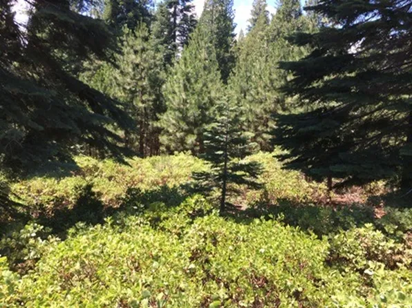 122 Silver Pine Rd, Westwood, CA 96137