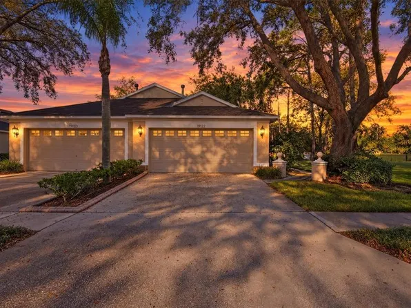 19122 DOVES LANDING DRIVE, TAMPA, FL 33647