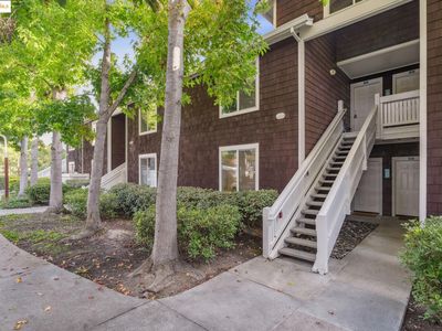 93 Bayside Ct, Richmond, CA, 94804