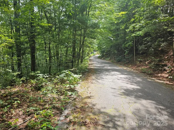 99999 Majestic Trce #25, Hendersonville, NC 28739