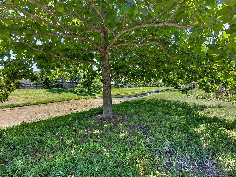 3943 Roan Ct W — Photo 30