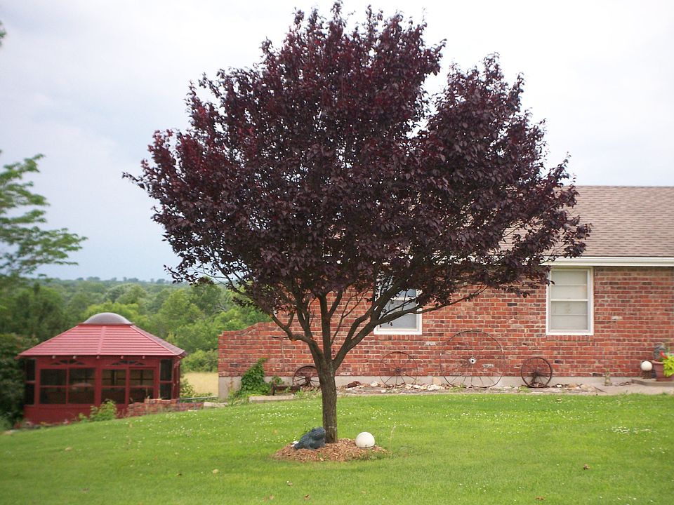 2nd image of 24304 S Grabe Rd